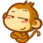 西瓜记录