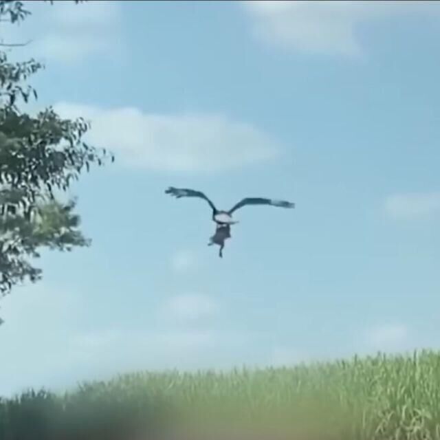 相关推荐