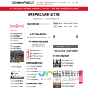 深圳市茂丰电子有限公司