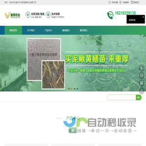 重庆泥鳅苗,重庆泥鳅养殖技术,重庆黄鳝苗,重厚农业