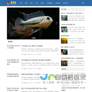热爱养鱼并分享有用的养鱼水族知识 - 爱养鱼