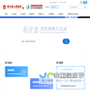 新龙县政务服务网