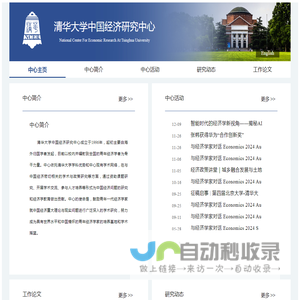 清华大学中国经济研究中心