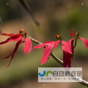 一个Java程序员的博客