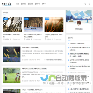 梦想加生活