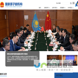 国家原子能机构