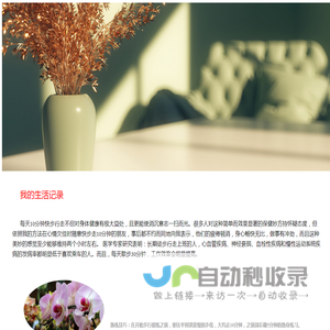 我的生活记录