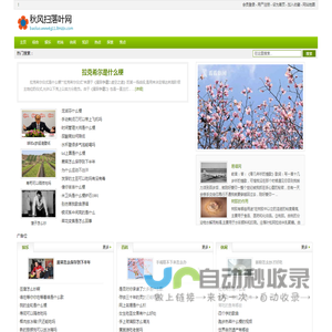 秋风扫落叶网