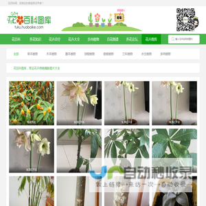 花卉绿植摄影图库_常见花卉图片大全-花百科图库