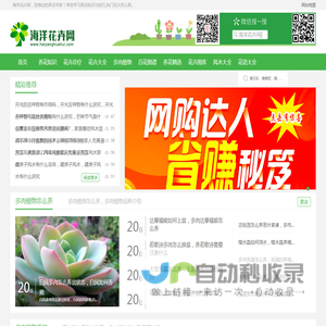 花卉_养花技巧_花卉知识大全_养花达人第一网站-海洋花卉网