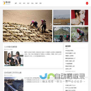 笔大如椽网