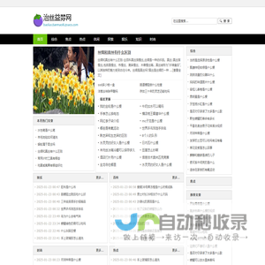 治丝益棼网