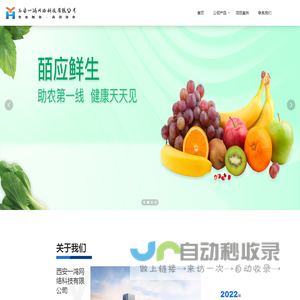 一鸿网络科技有限公司