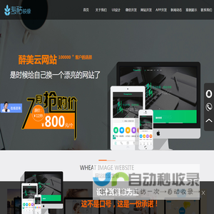 网站建设_微信开发_网站维护_服务外包_APP开发