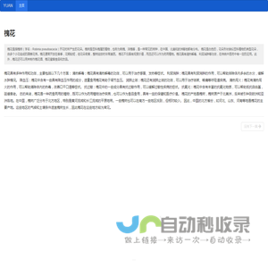 yuanyoustu