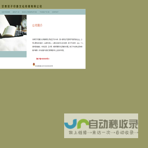 双子印象文化传媒