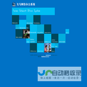 飞马网络办公系统