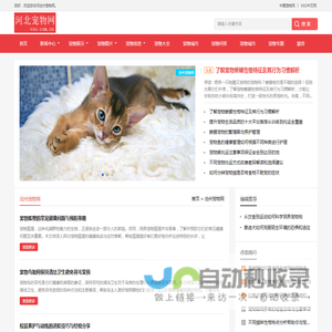 中宠网 - 沧州宠物网