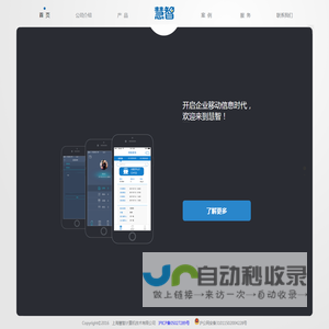 上海慧智计算机技术有限公司