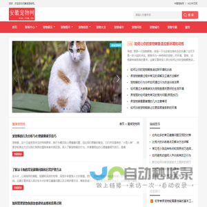 中宠网 - 巢湖宠物网