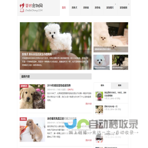 茶杯犬,茶杯猫,小香猪,迷你袖珍泰迪贵宾狗 - 茶杯宠物网