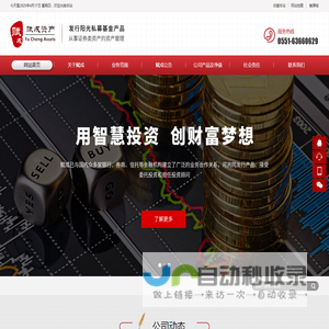 安徽赋成资产管理有限公司