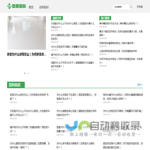 菜票百科