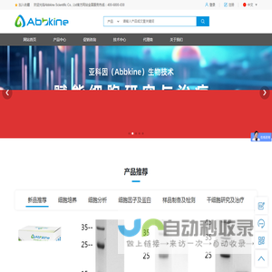 亚科因（Abbkine）—服务于细胞和蛋白研究全球用户