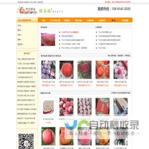 阳光绿谷-平谷大桃