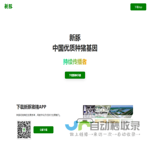 新豚
