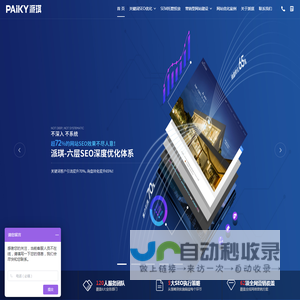 上海SEO优化_网络营销推广外包服务_谷歌优化代运营-PAIKY派琪网络