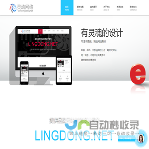 珠海网站建设_网站设计_高端网站制作-【灵动网络】
