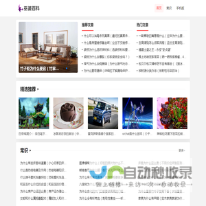 巫婆百科