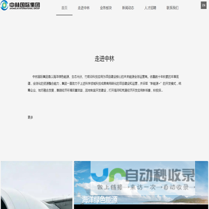 -广东国能中林投资有限公司