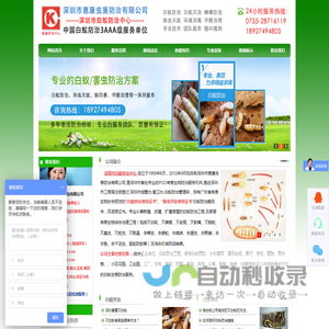 深圳白蚁防治专家！深圳灭白蚁公司，深圳杀白蚁公司，深圳除白蚁公司