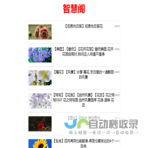 智慧阁 - 汇聚智慧的知识宝库