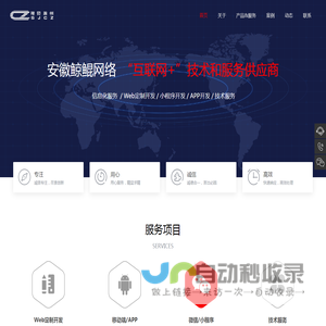 安徽鲸鲲网络科技有限公司