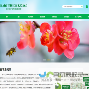 宣城市宣州区宣木瓜协会