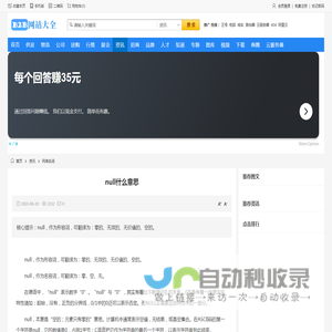 null什么意思