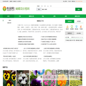 蝴蝶花图片_蝴蝶花价格_中国蝴蝶花网-农苗网