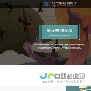 天道网络技术