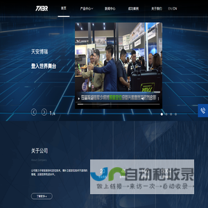 天津市天安博瑞科技有限公司