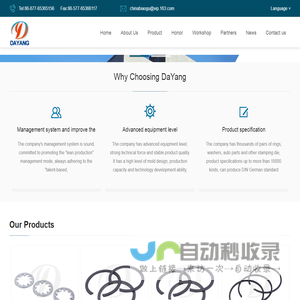 WENZHOU DAYANG FASTENER CO.,LTD-WENZHOU DAYANG FASTENER CO.,LTD