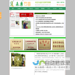 森廉竹苗,专注于观赏竹培育,泰和森联竹类苗木有限公司