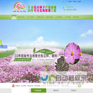 花卉种子批发,景观花种批发,花卉种子销售--花啦啦花卉种业第一品牌