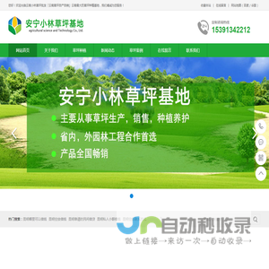 云南小林草坪批发「云南草坪自产自销」云南最大的草坪种植基地-昆明安宁草坪种植/草坪销售/运/铺一条龙服务