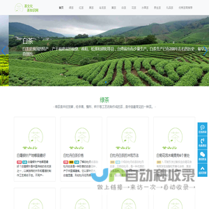 茶文化-茶知识-中国茶文化-茶艺讲解-茶知识网