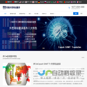 伊川●外贸多语种翻译_谷歌神经翻译_网站语种本地化_翻译插件