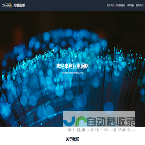 业惠网络--专注IT服务