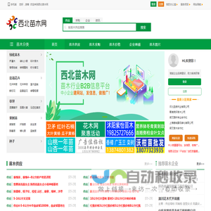 西北苗木网--苗木求购|绿化苗木价格|陕西苗木